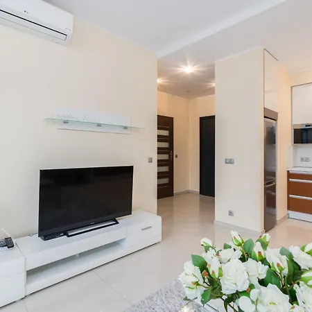 Apartment Centre Air-conditioned & Pet-friendly By Renters *